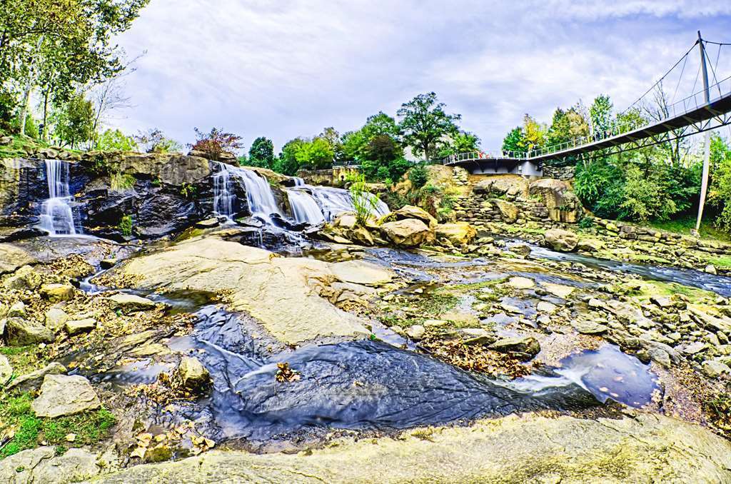 Hilton Garden Inn Greenville Fasilitas foto